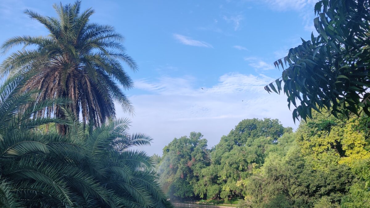 Delhi, Lodhi, Blue Skies ?