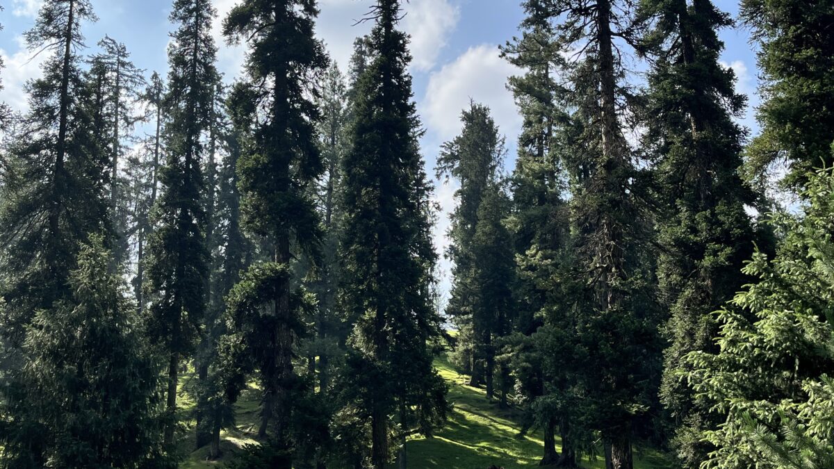 Roadtrip to Drang & Gulmarg